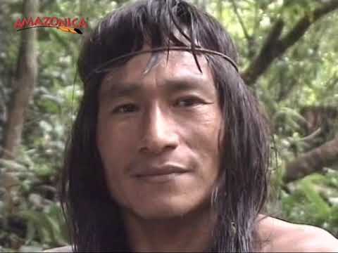 Everybody talks about the future - AMAZONICA acts