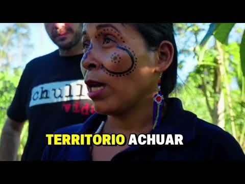 Den Regenwald retten? Das funktioniert | AMAZONICA beweist es