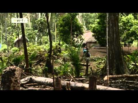 Die Regenwaldhüter - Mascha Kauka in Amazonien