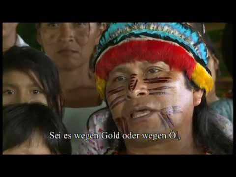 Ramadama im Regenwald - eine Münchnerin in Amazonien