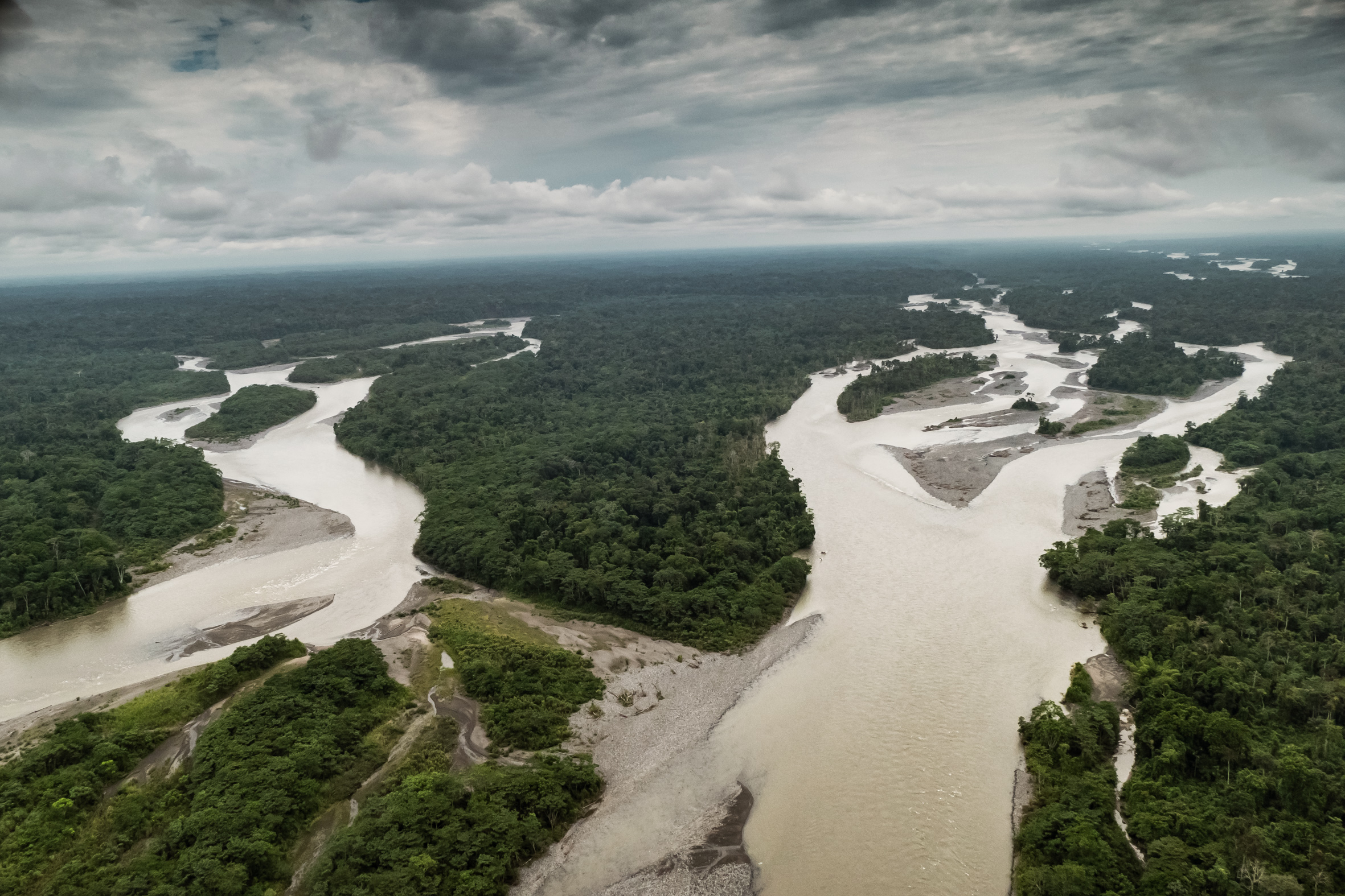 AMAZONAS. DER LEBENSNERV UNSERES PLANETEN: DER TROPISCHE REGENWALD.