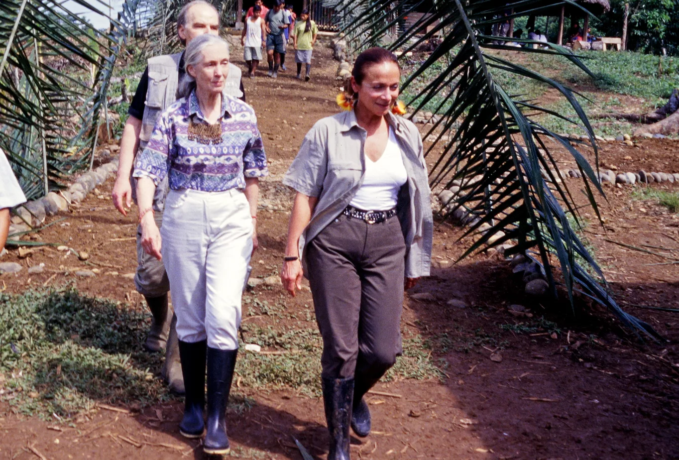 JANE GOODALL BESUCHT AMAZONICA