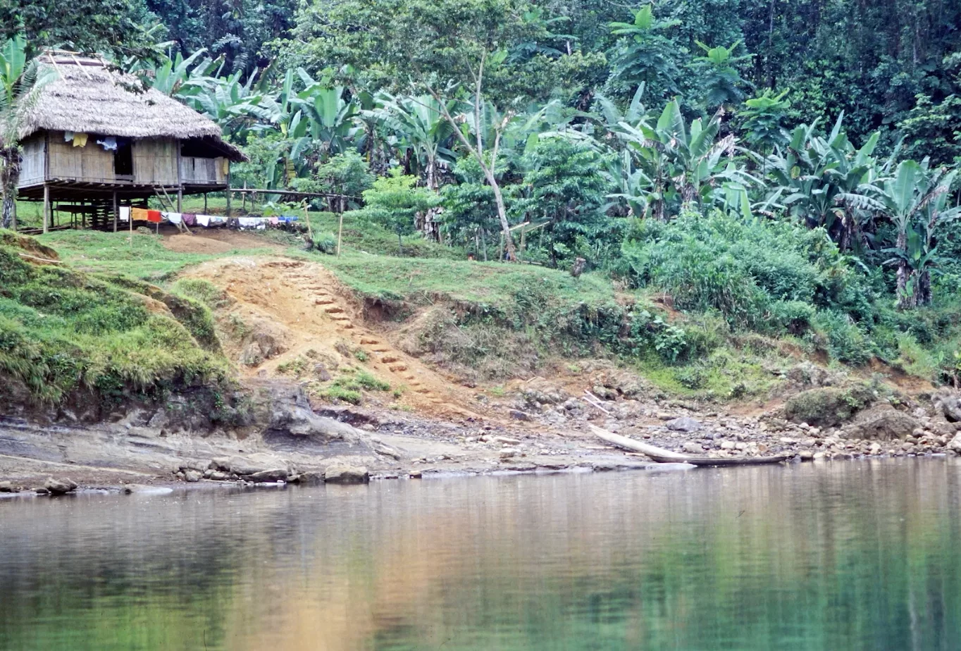 45 Jahre AMAZONICA – 45 Jahre Einsatz für den Regenwald