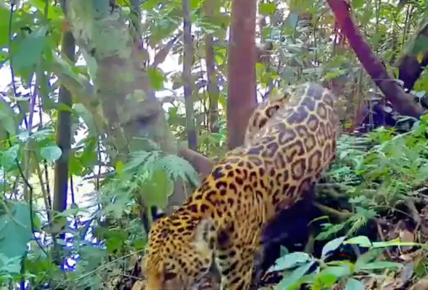 EIN STÜCK VOM PARADIES ERHALTEN UND GESTALTEN